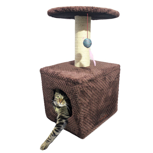 Gimnasio Arbol Casa Rascador Para Gatos Pequeño