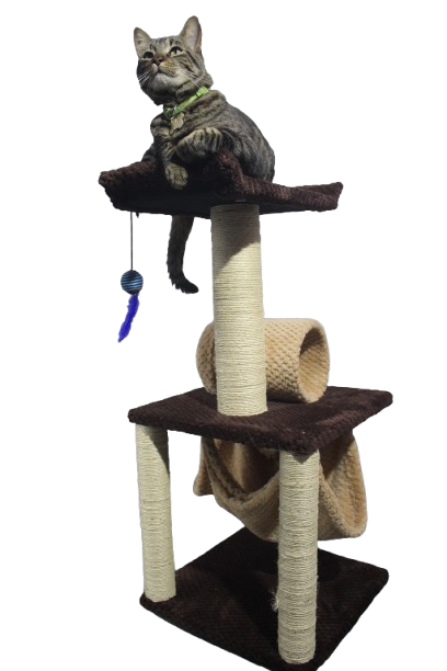 Gimnasio Arbol Rascador Para Gatos Hamaca Cilindro