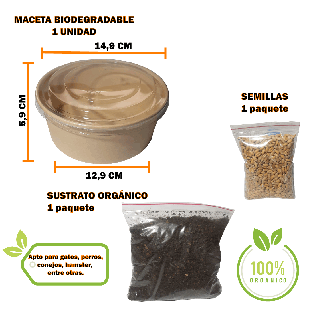 Pasto Natural para Mascotas Digestión Saludable