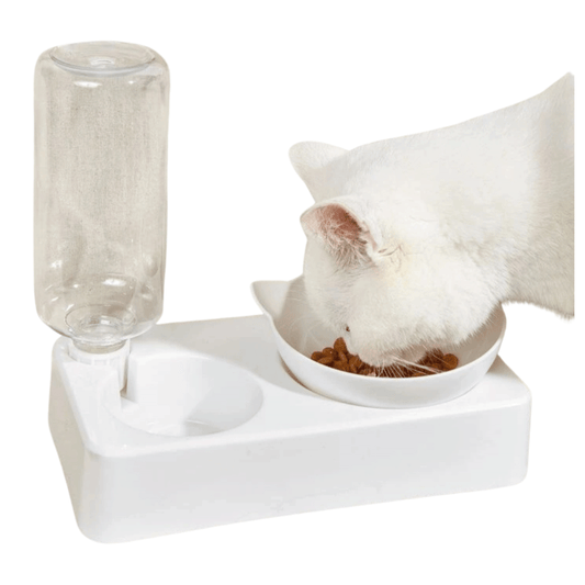 Comedero Cara De Gato Con Dispensador De Agua