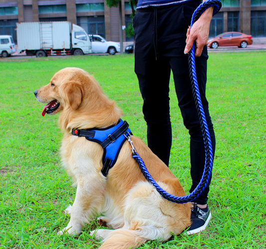 Arnes Trenzado X Para Perros Talla XL