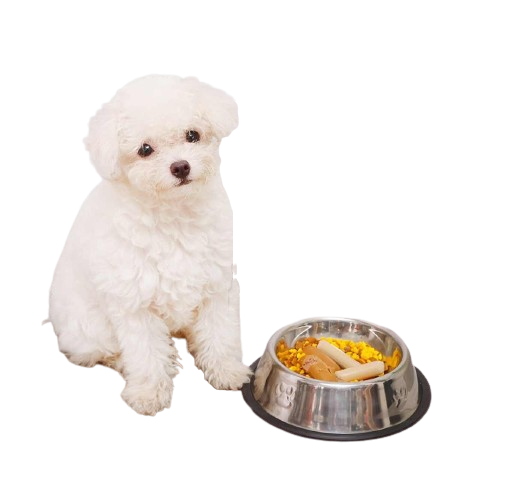 Comedero Plato Mediano En Aluminio Para Perro