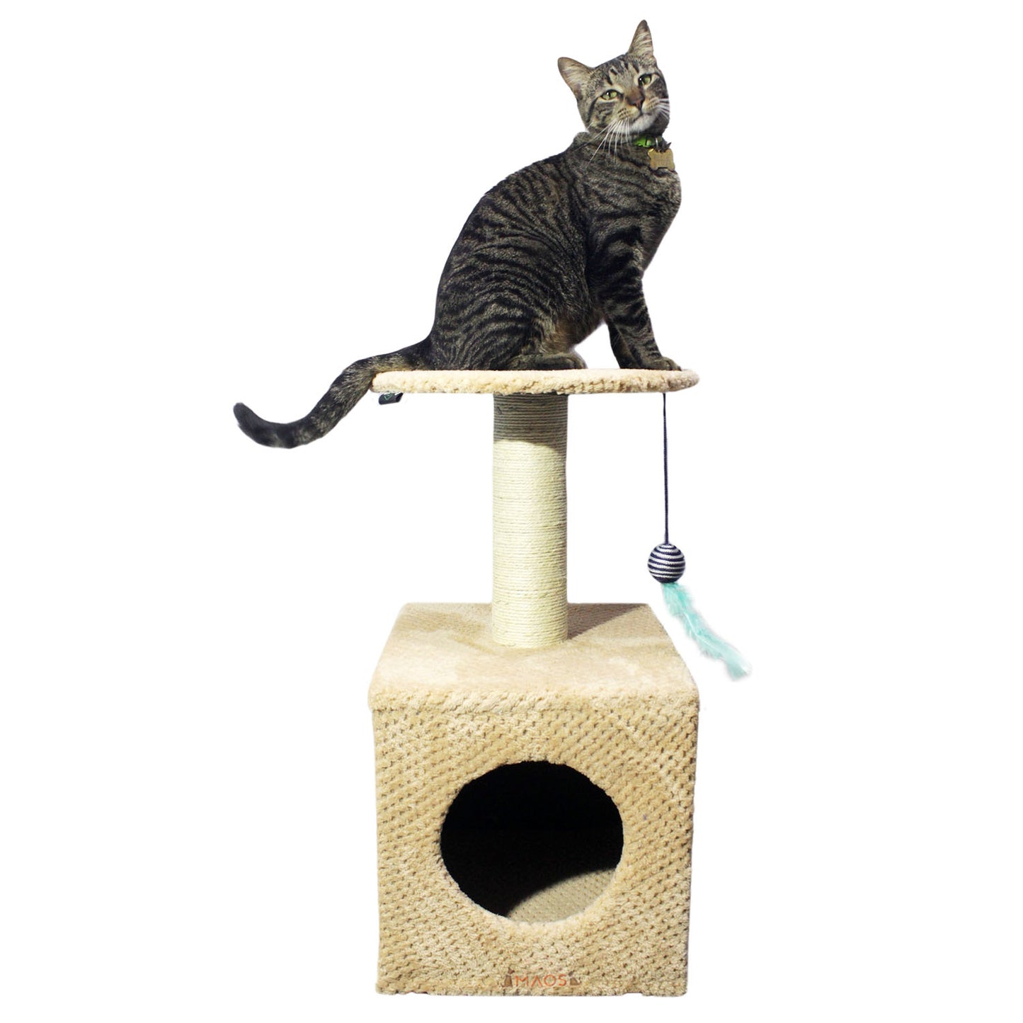 Gimnasio Arbol Rascador Para Gatos Pequeño