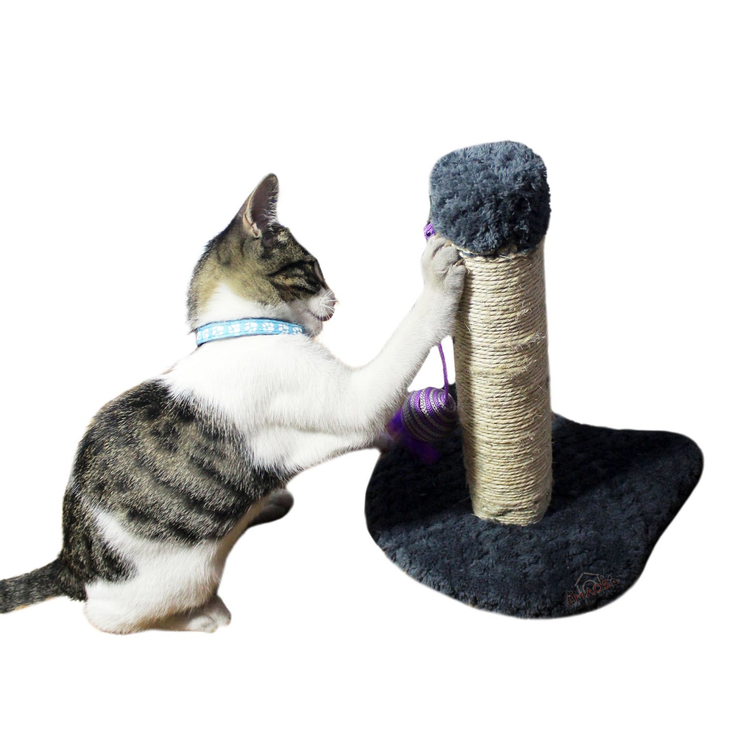 Rascador Acicalador Sencillo Para Gatos