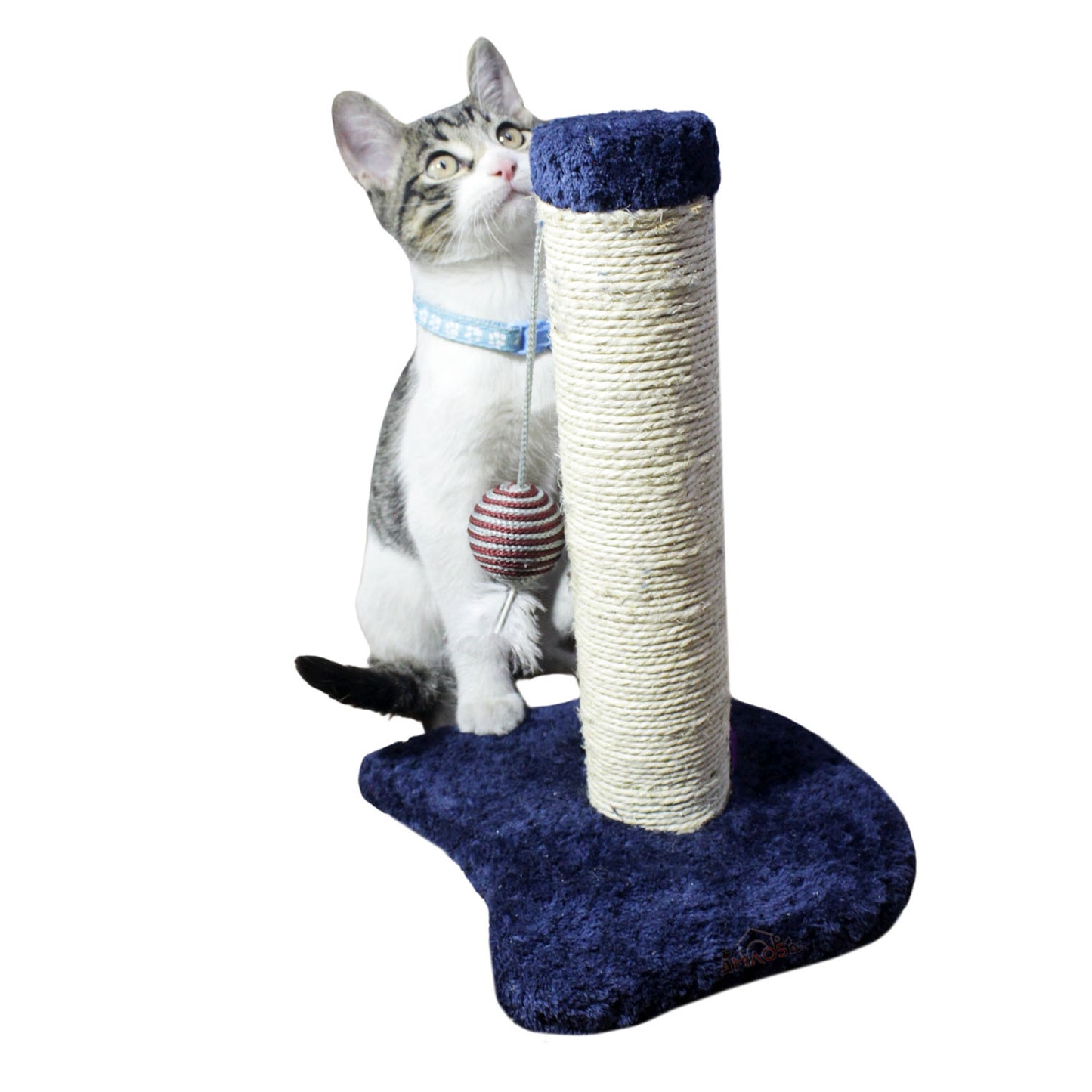 Rascador Acicalador Sencillo Para Gatos