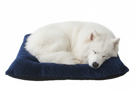 Colchoneta para Perros ExtraGrandes En Tela