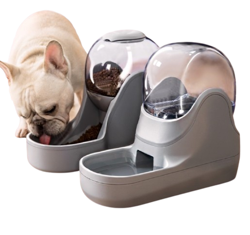 Combo De Comedero y Bebedero Bot Para Perro