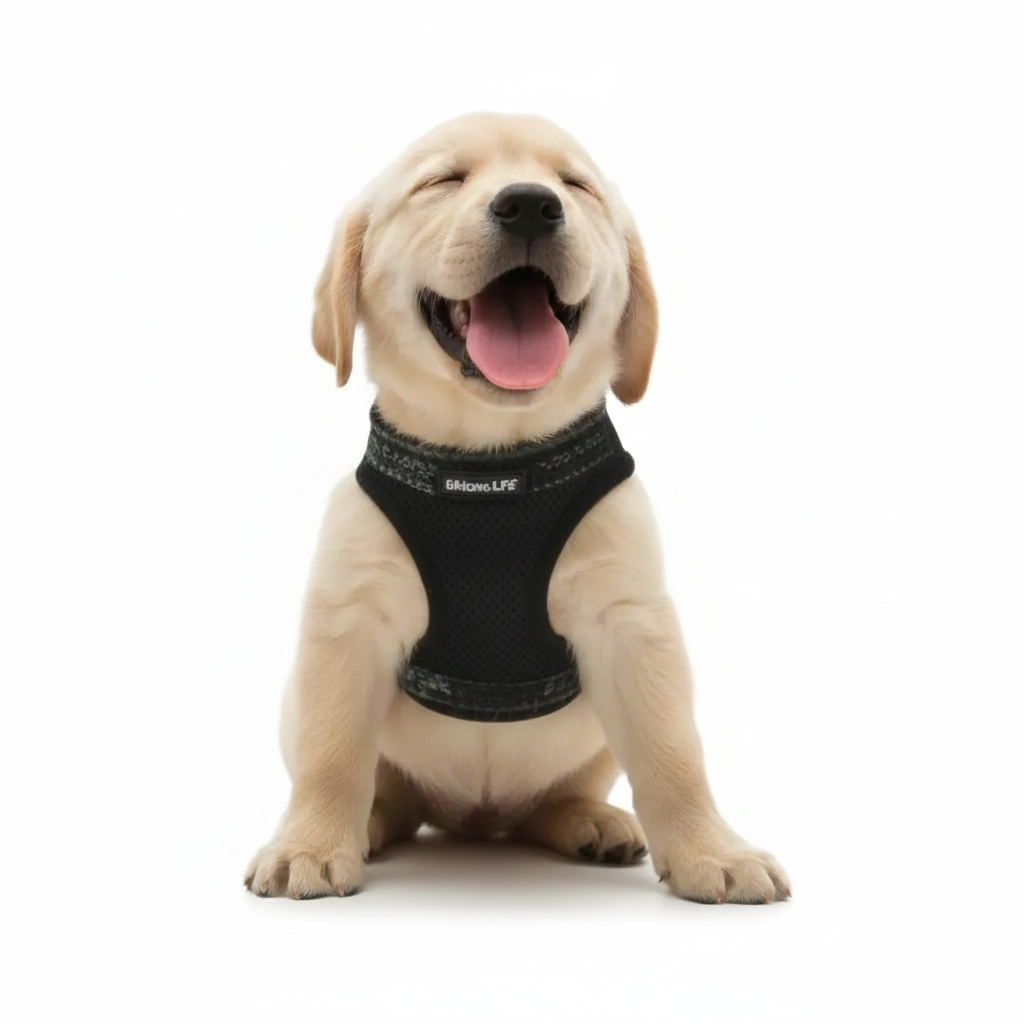 Arnes Chaleco Pechera Comodo Para Mascotas