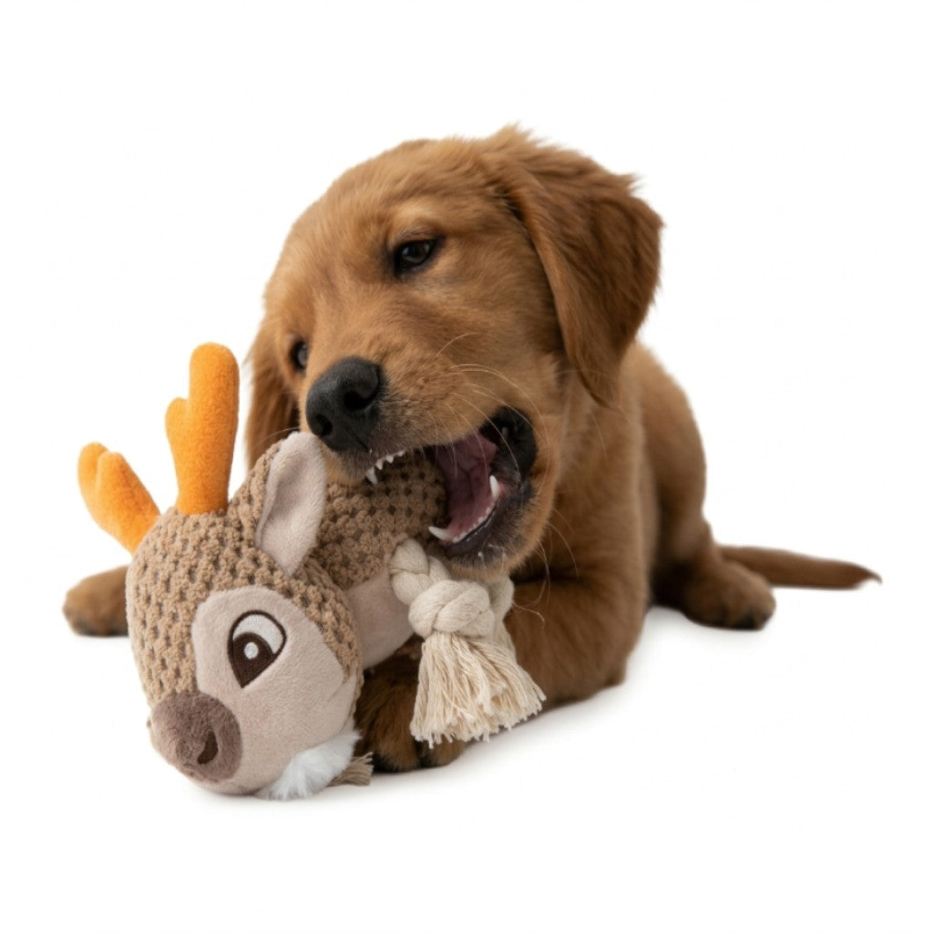 Juguetes Mordedores Para Perros