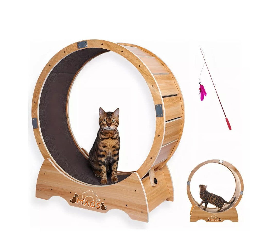 Rueda De Ejercicio Para Gatos Desarmable