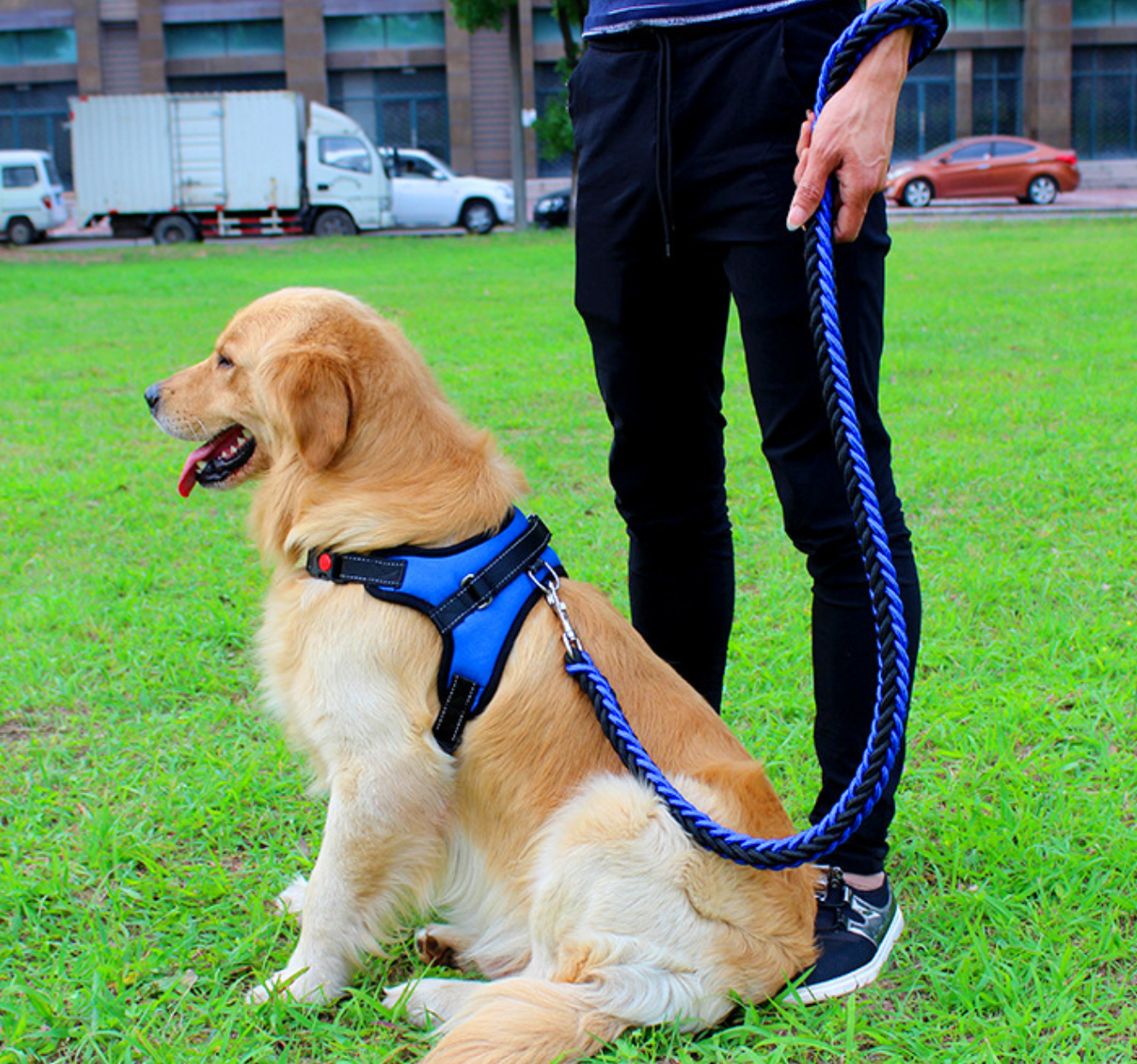 Arnes Trenzado X Para Perros Talla XL