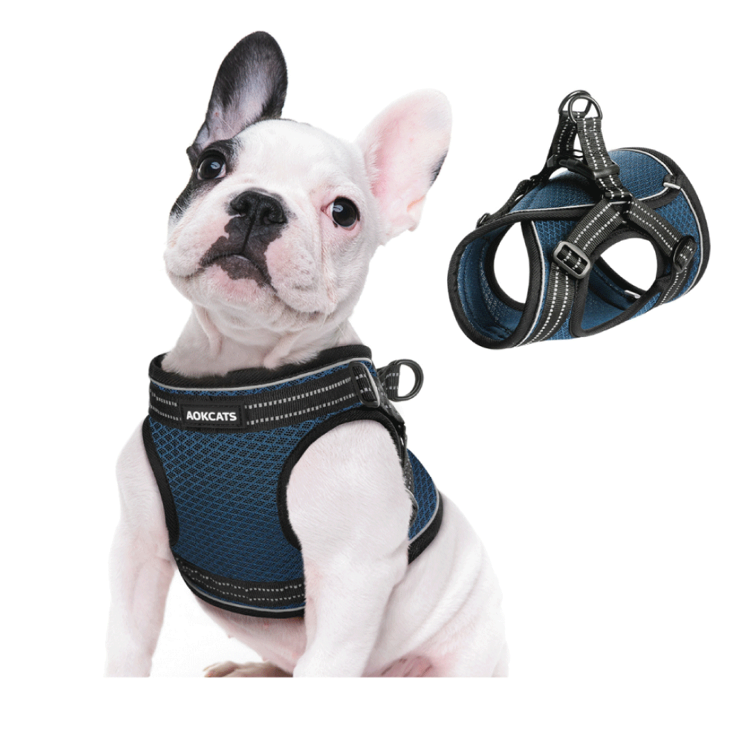 Arnes Chaleco Pechera Comodo Para Mascotas