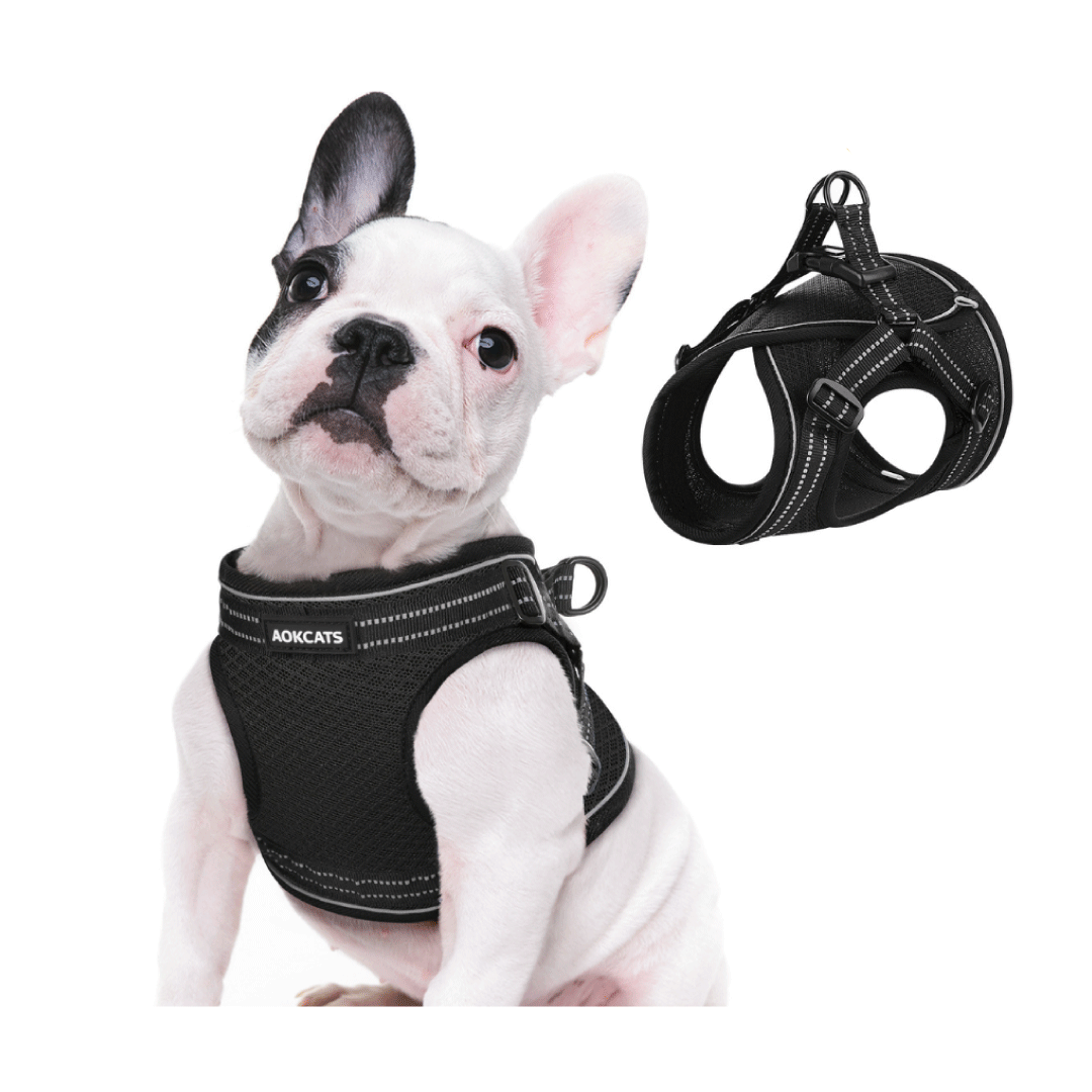 Arnes Chaleco Pechera Comodo Para Mascotas