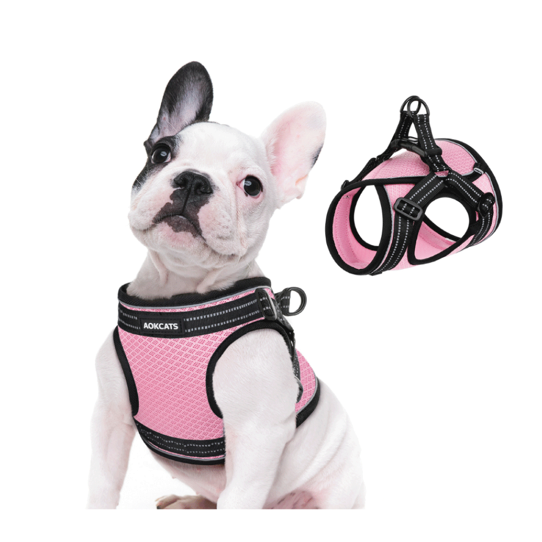 Arnes Chaleco Pechera Comodo Para Mascotas