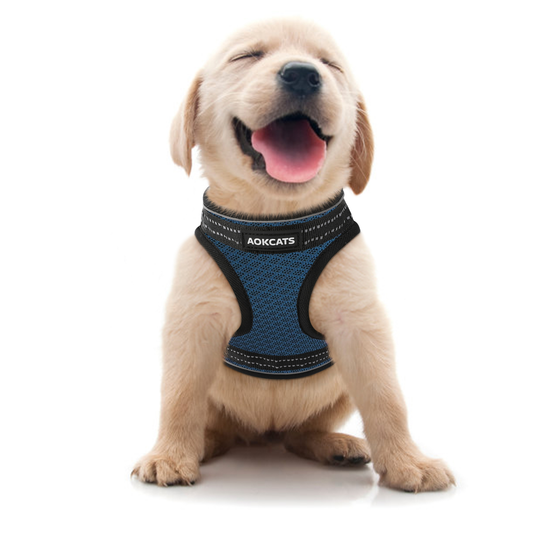 Arnes Chaleco Comodo Para Perros Talla M