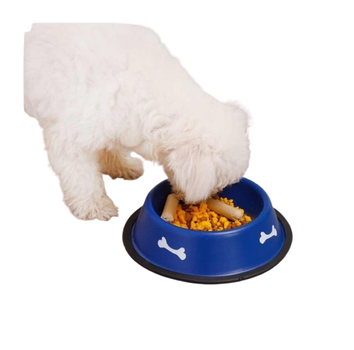 Comedero Acero Inoxidable Mediano Para Perro