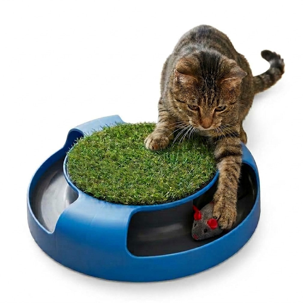Juguete Interactivo Giratorio Para Gatos