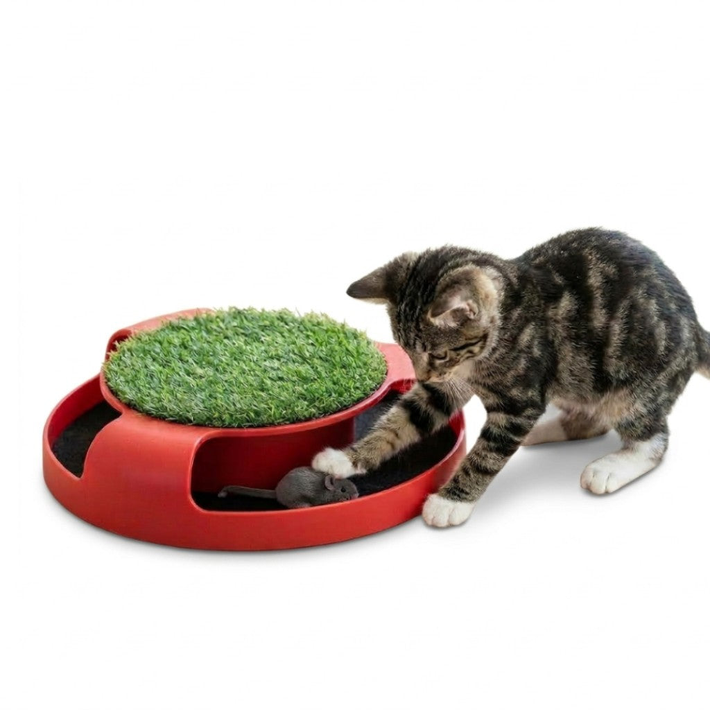Juguete Interactivo Giratorio Para Gatos