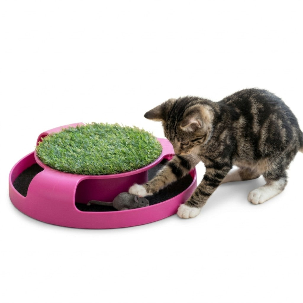 Juguete Interactivo Giratorio Para Gatos