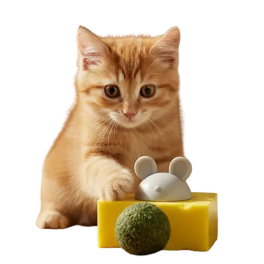 Bola De Catnip Para Gatos Entretenimiento y Diversion