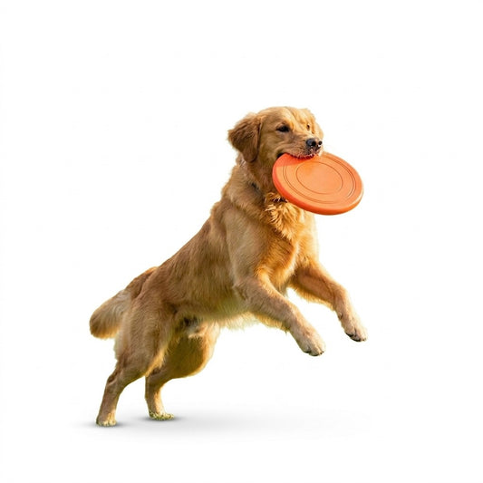 Juguete Frisbee De Goma Para Perros