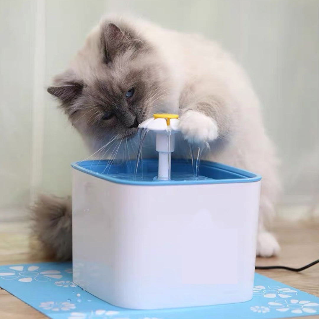 Fuente Bebedero De Agua Para Gatos