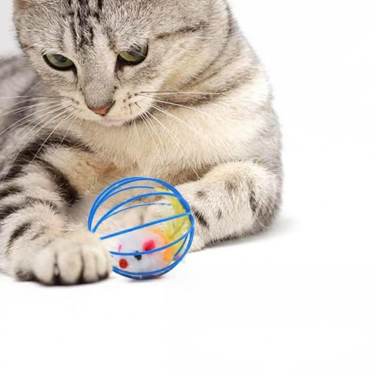 Pelotas Interactivas Perro Gato
